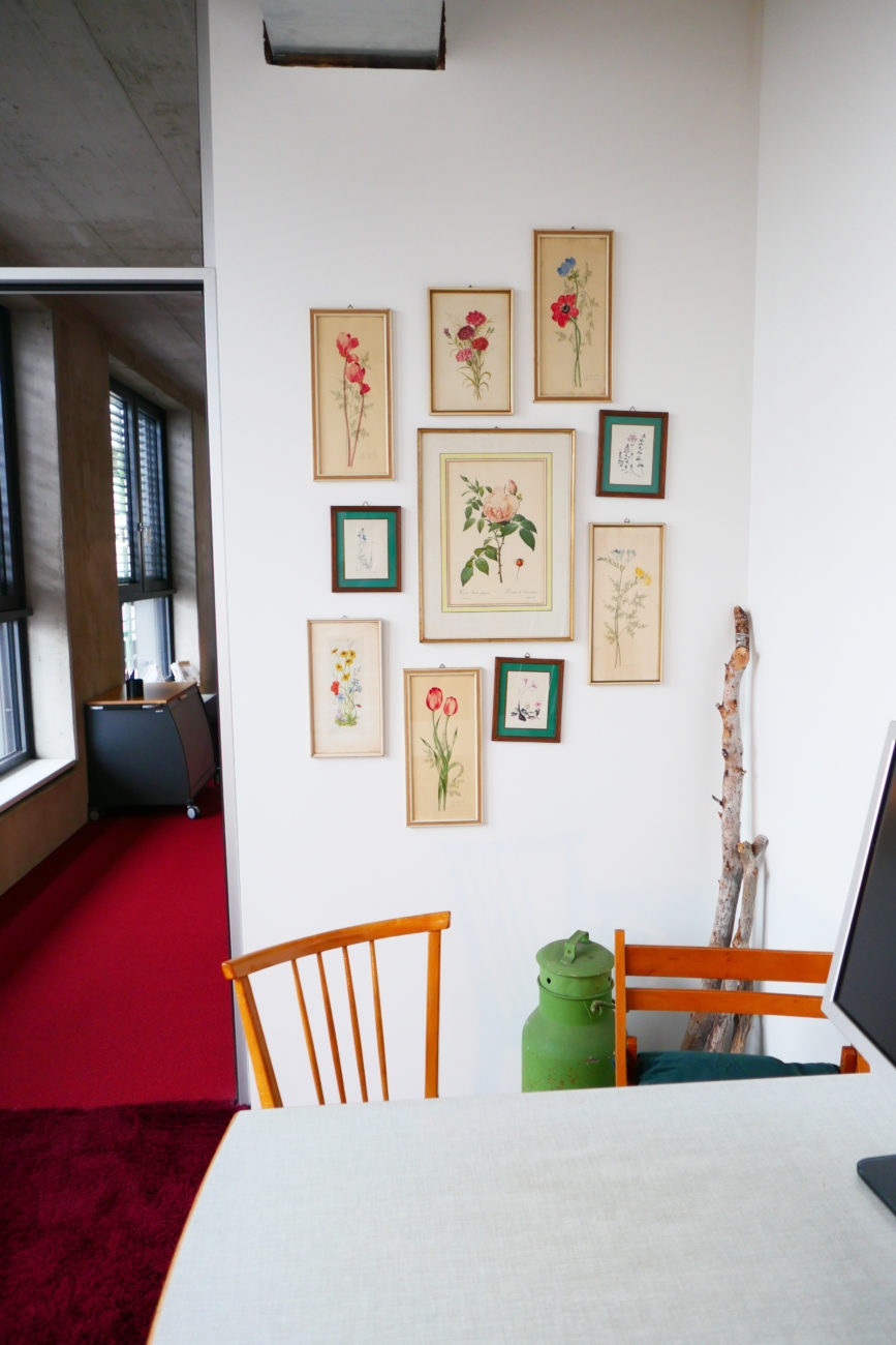 Krankikom Blumenzimmer Bilder